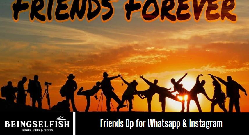 Friends Dp
